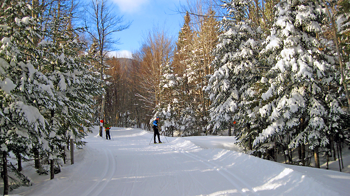 Great Glen Trails Skiers
